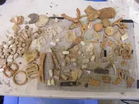 DSCF1398.webp