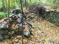 OCT 10TH hunt with chris oct 11th CT  copper 002.webp