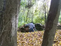 OCT 10TH hunt with chris oct 11th CT  copper 003.webp