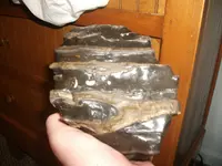 DSCF3221.webp