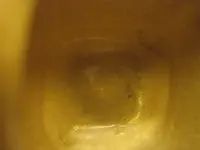 bottomInner.webp