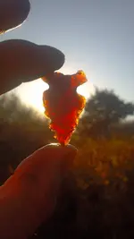 2012-10-12_09-07-38_478-1.webp