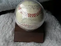 DSCN7009 (Medium).webp
