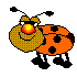 unknownCADPMUBY.gif bug.gif unknownCADPMUBY.gif bug.gif