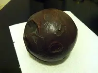 ball3.webp