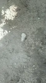 IMG-20120903-WA0005.webp