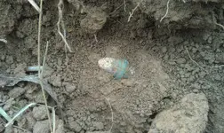 10-27-12burnsidedirt.webp