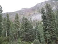 298791_10151080019239123_155965309_n.webp