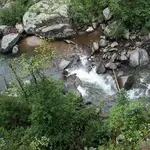 488245_10151083219094123_634467370_n.webp