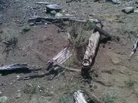 0918121236.webp