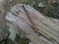 0918121240.webp