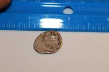 hammered silver 1.webp