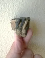 Mammoth tooth fragment (2).webp