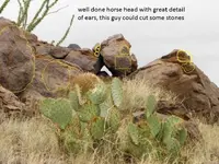 92812 305-dogtthr.webp