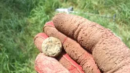 Elad_s Metal Detecting Adventures - Vol 4.mp4.Still001.webp