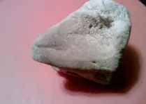Sheep Stone1.webp