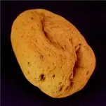 Orange Rock 3.webp