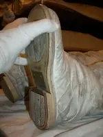 aamoonboot.webp