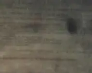 20120415_212458-1.webp
