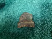IMG_20120912_132121.webp