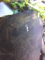 CIMG0135.webp
