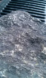 IMAG0357.webp