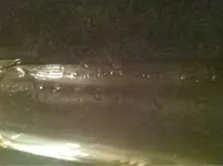 image-4005730515.webp