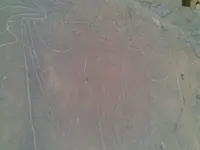 13186203267juif.webp