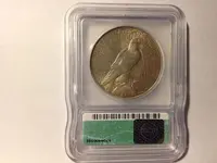 $T2eC16d,!)cE9s4Pu,p!BQeu!Mm30g~~60_3.webp