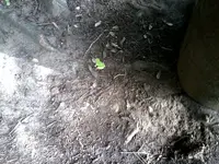 P092912_1119[01].webp