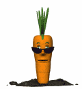 Mail Attachment.gif veggies.gif