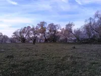 IMG_20121020_161357.webp
