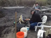 image-188461323.webp