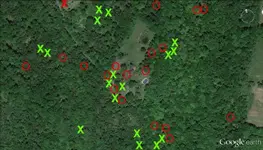 Overhead of JB Site-DocBeav.webp