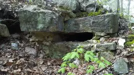 mine5.webp