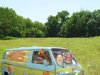 rowdybunch.webp