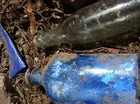 bottles.webp