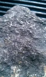 IMAG0354.webp