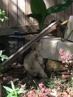 image-3272200158.webp