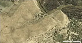 WSNB Woodside 100 River.webp