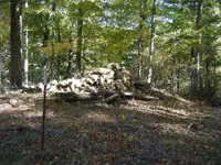 Jacksons farm 005.webp