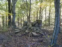 Jacksons farm 006.webp