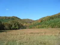 Jacksons farm 002.webp