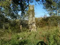 Jacksons farm 007.webp