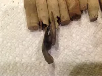 image-2103416454.webp