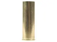 BRASS 12G SHELL.webp