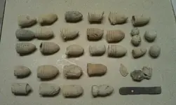 10-20-12bullets.webp