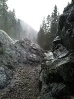 391532_10151079968969123_383838998_n.webp