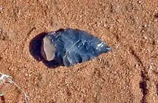 one.webp