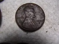 IMGA1871.webp